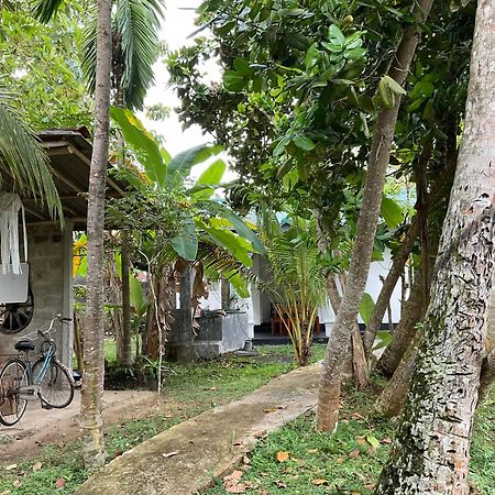Bird Villa Galle Exterior photo